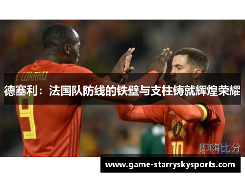 德塞利：法国队防线的铁壁与支柱铸就辉煌荣耀