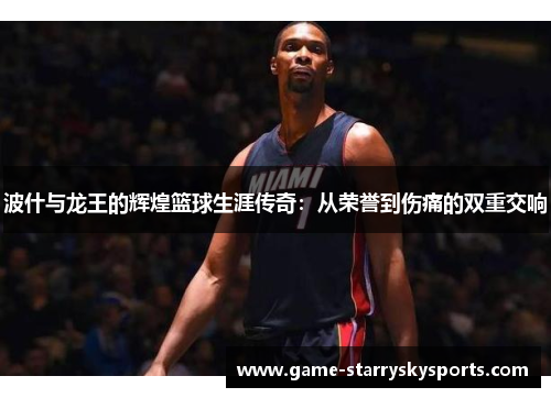 波什与龙王的辉煌篮球生涯传奇：从荣誉到伤痛的双重交响