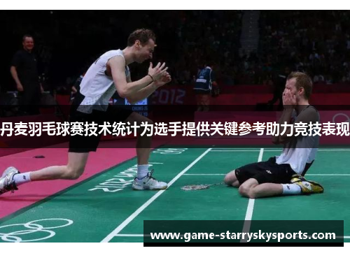 丹麦羽毛球赛技术统计为选手提供关键参考助力竞技表现