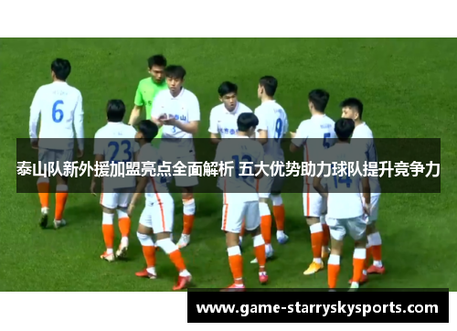 泰山队新外援加盟亮点全面解析 五大优势助力球队提升竞争力