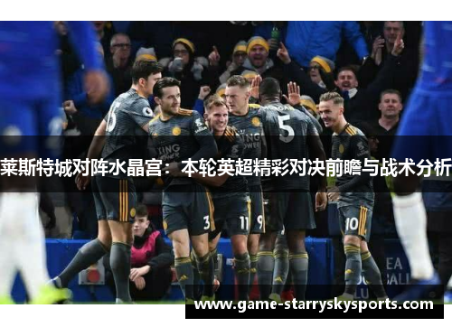 莱斯特城对阵水晶宫:本轮英超精彩对决前瞻与战术分析