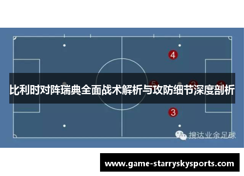 比利时对阵瑞典全面战术解析与攻防细节深度剖析