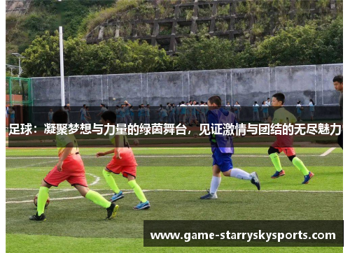 足球:凝聚梦想与力量的绿茵舞台,见证激情与团结的无尽魅力